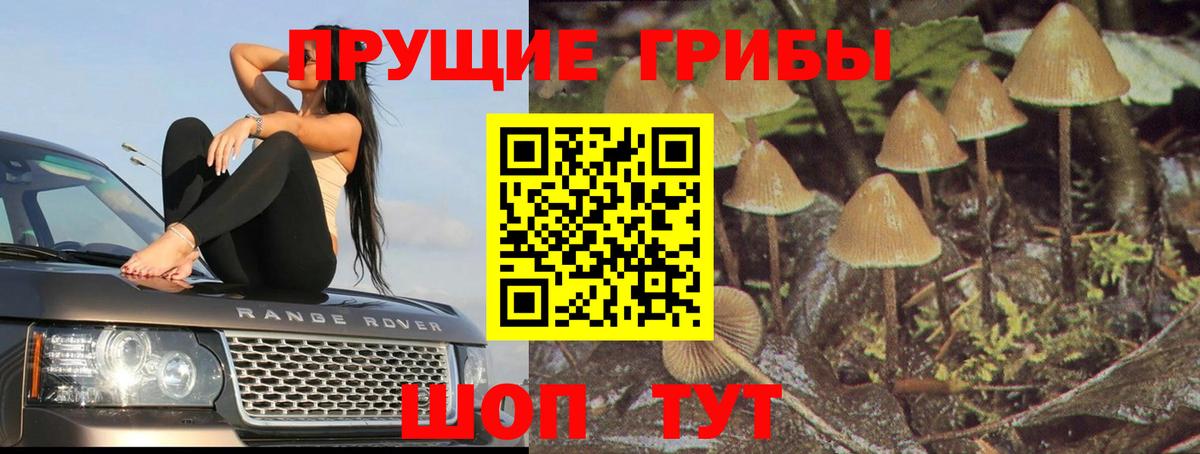 Галлюциногенные грибы мухоморы Павлово