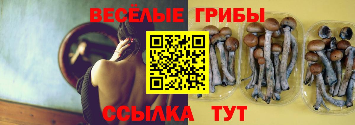 Псилоцибиновые грибы Magic Shrooms  Вход с VPN  Павлово 